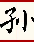 孙颖莎每场比赛都会看结果意外(孙颖莎夺冠为何不开心真正原因令人心酸)|pg电子试玩模拟器