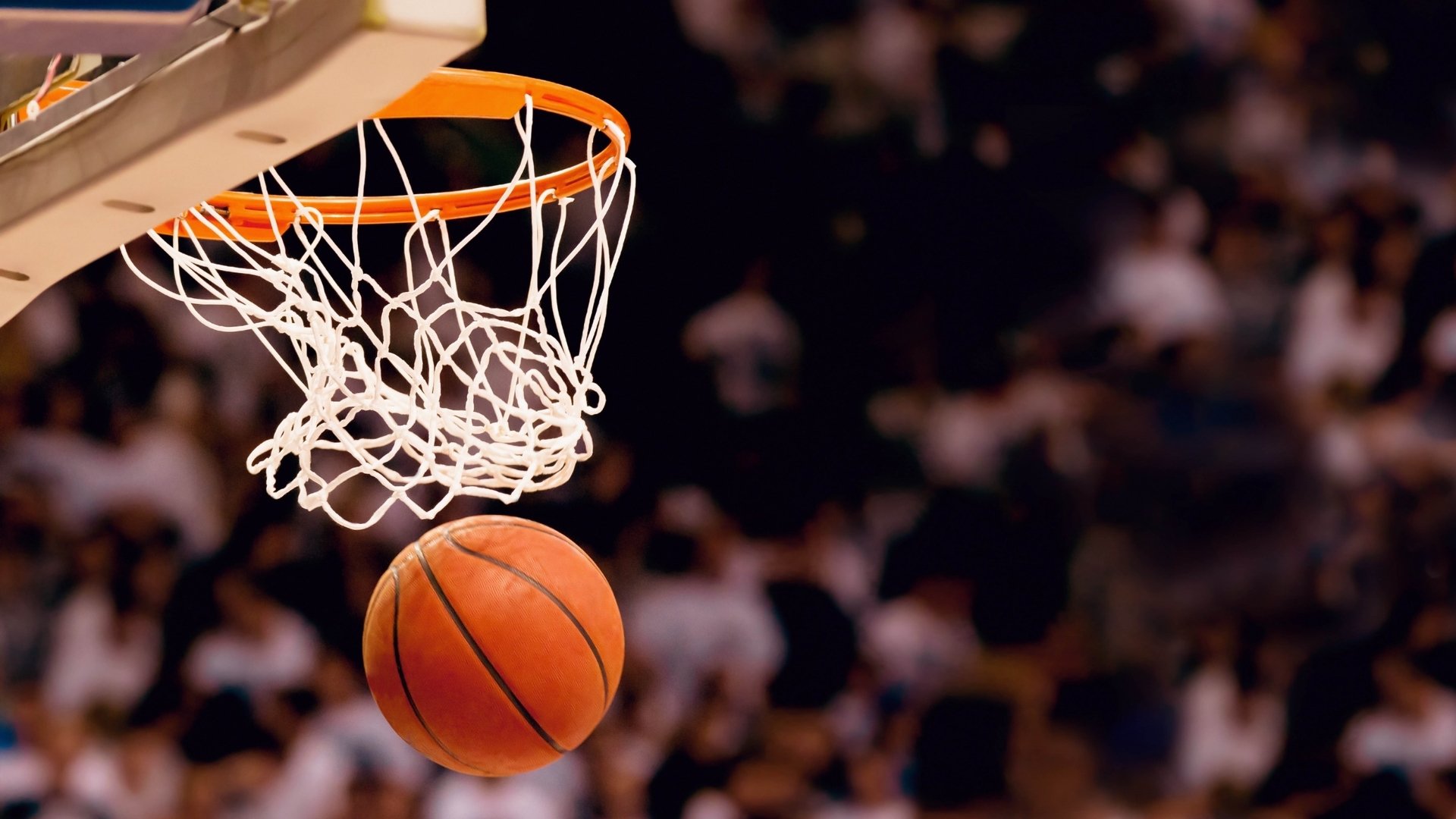 大坂直美NBA看台引爆跨界热议，体育魅力的无界共鸣|pg电子试玩模拟器